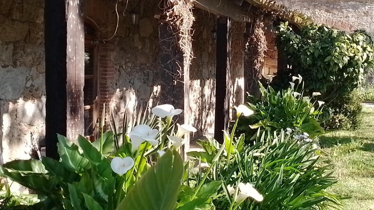Casa Rural El Refugi Platja D'Aro 4 Romanya de la Selva Экстерьер фото