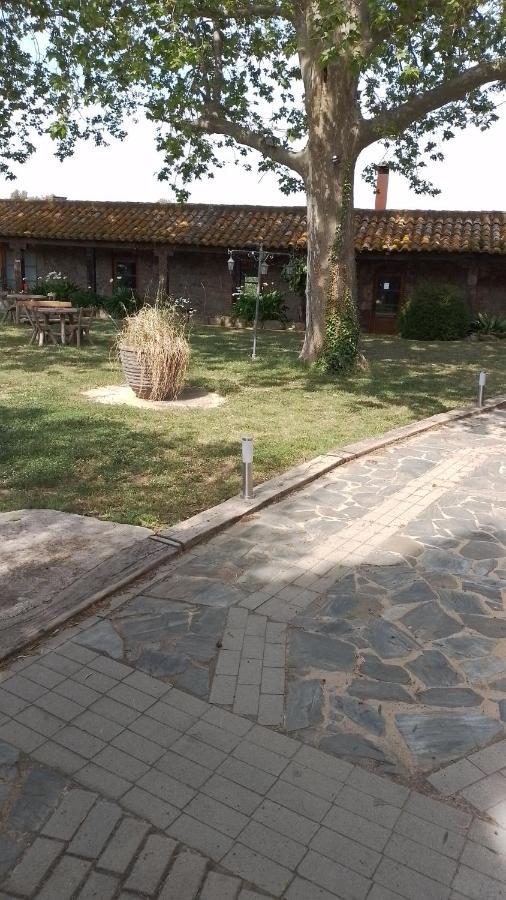 Casa Rural El Refugi Platja D'Aro 4 Romanya de la Selva Экстерьер фото